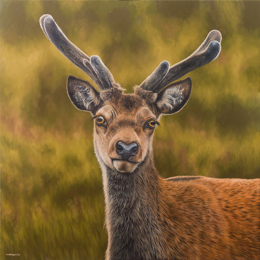 "Heir of the Highlands" Print