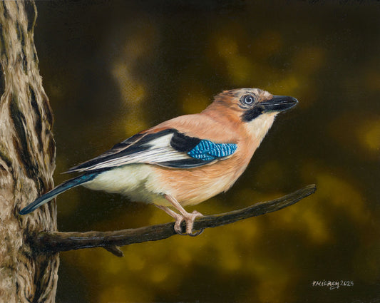 'JAY' Original Artwork