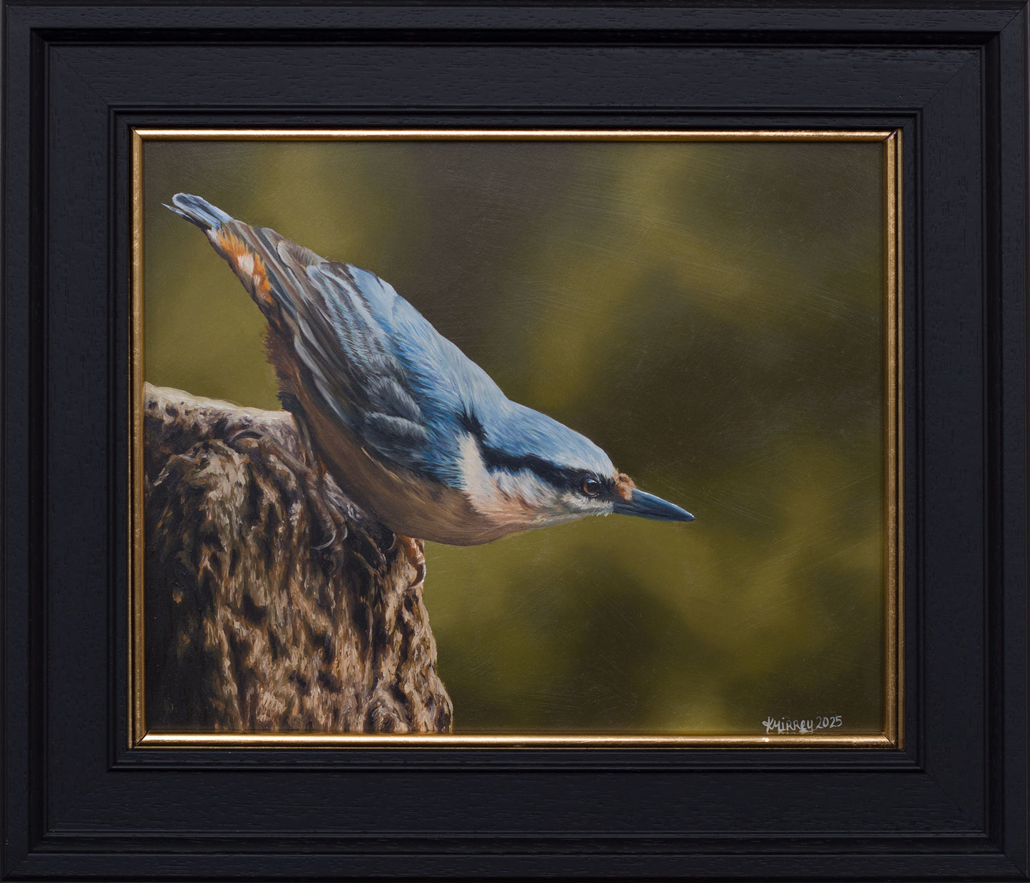 'NUTHATCH' Original Artwork