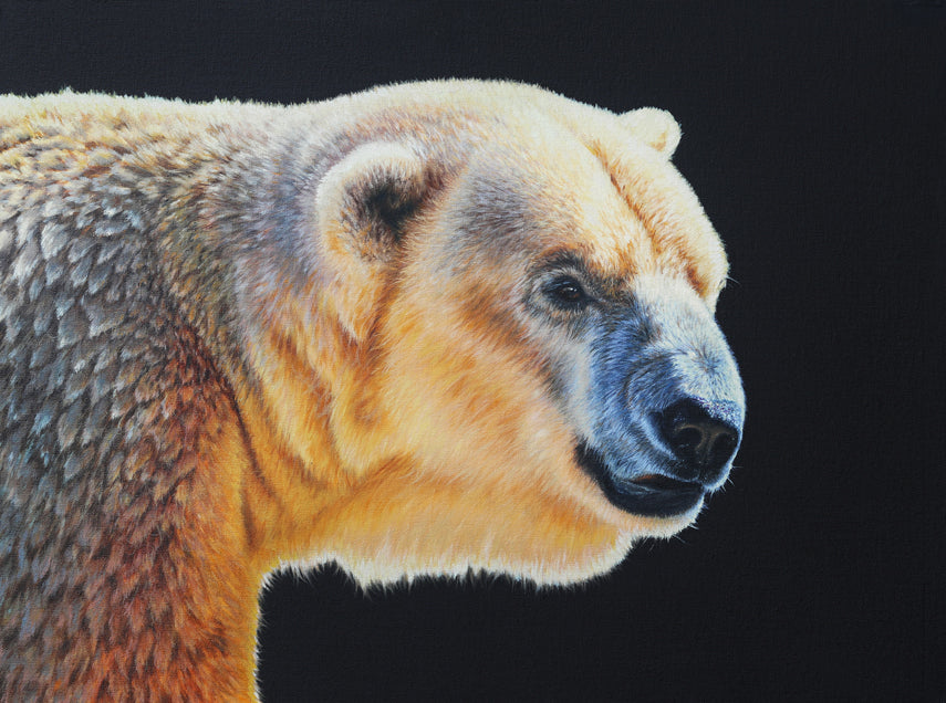 "Survivor" Print