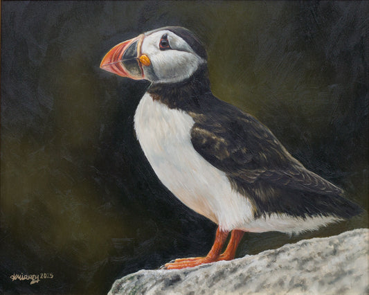 'PUFFIN' Original Artwork