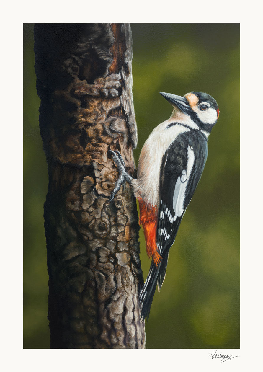 "Woodland Jewel" Print
