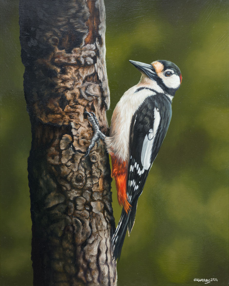 "Woodland Jewel" Print