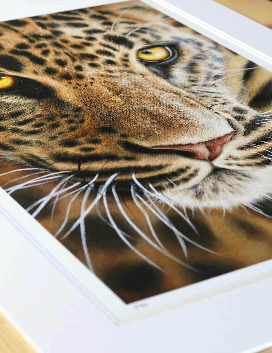 "Amber Gaze" Print
