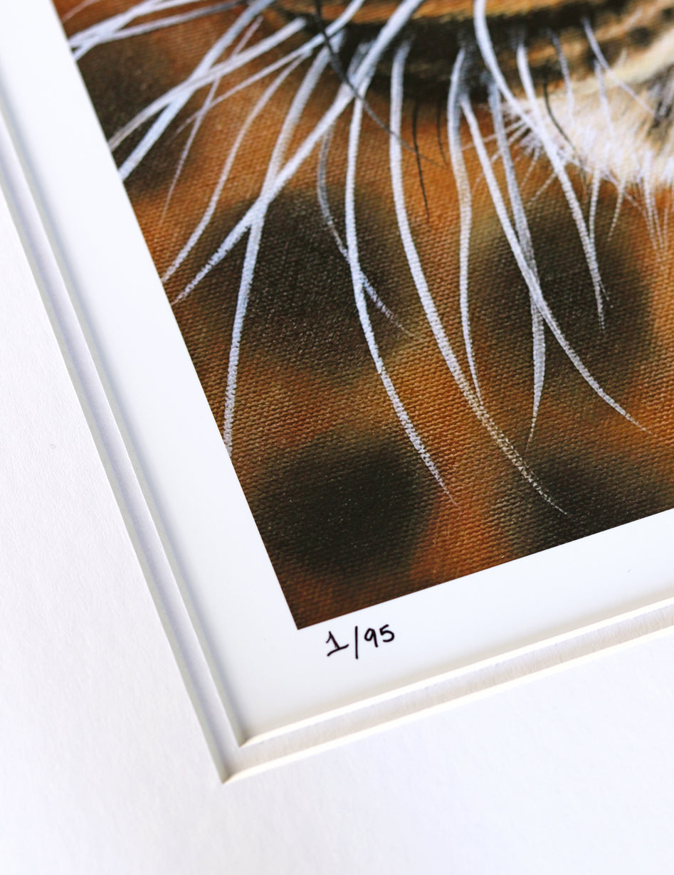 "Amber Gaze" Print