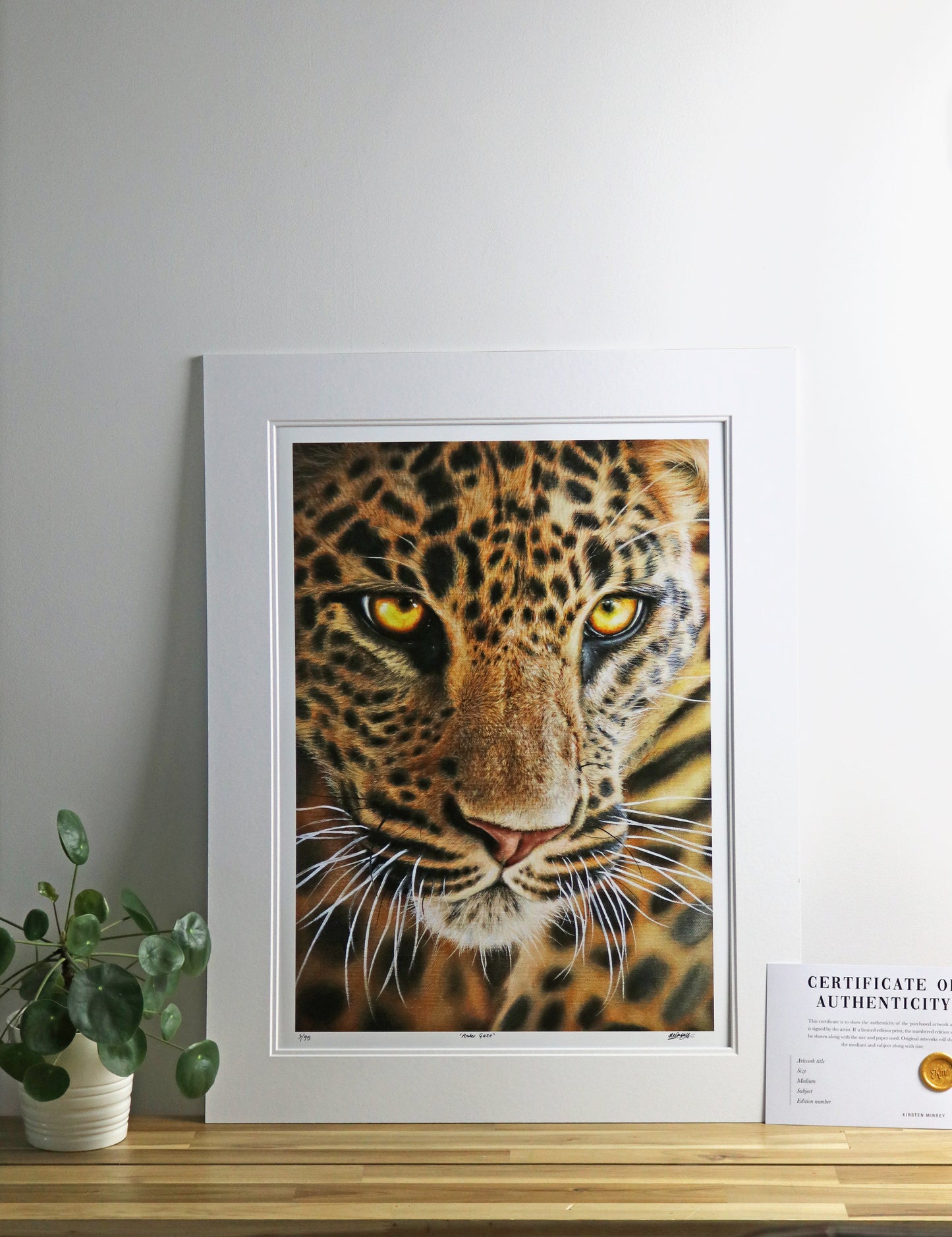 "Amber Gaze" Print
