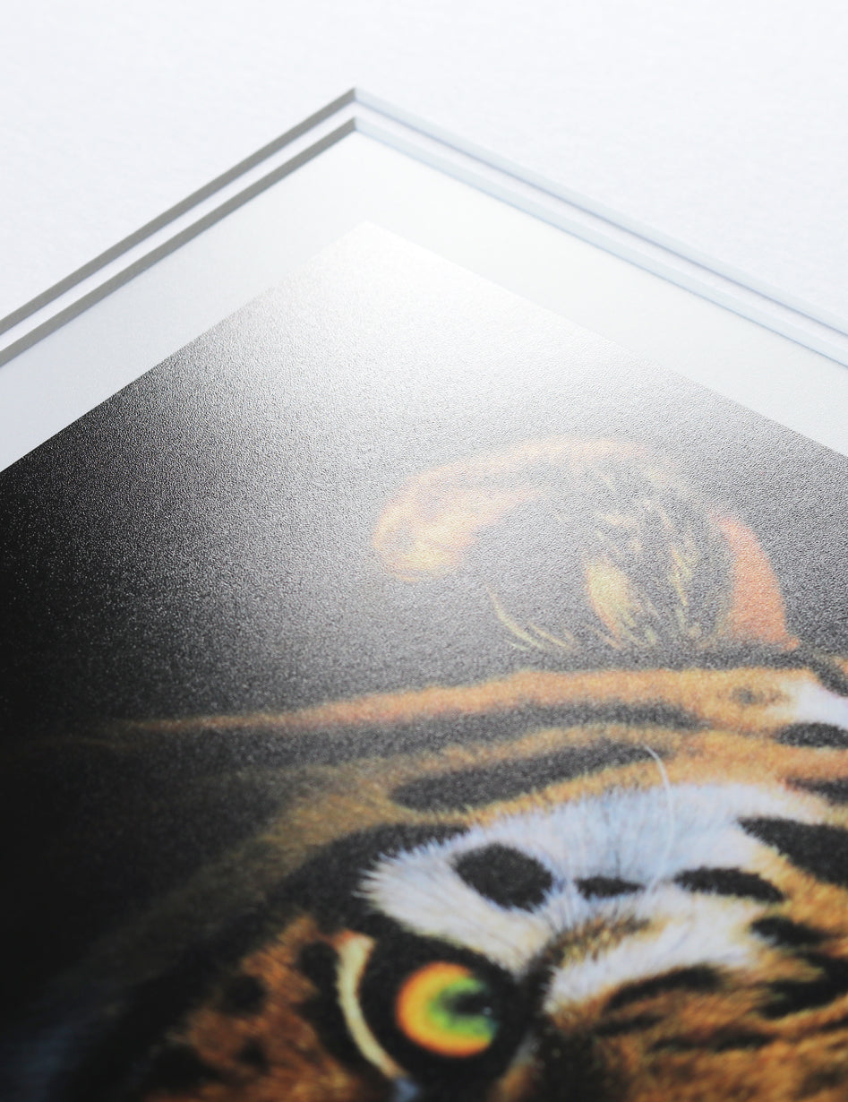 "Caught in the Light" Print