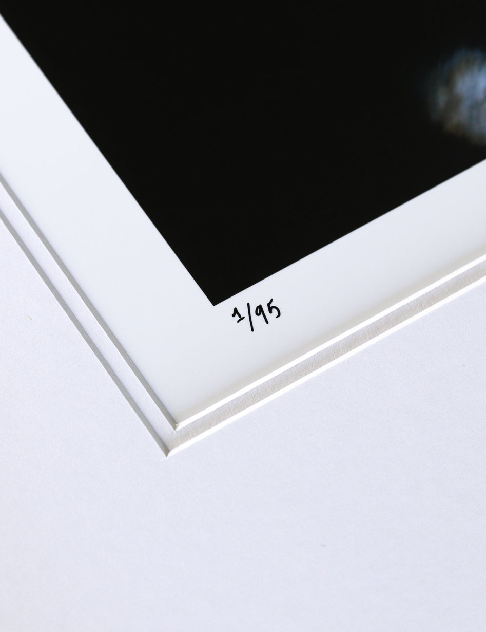 "Caught in the Light" Print