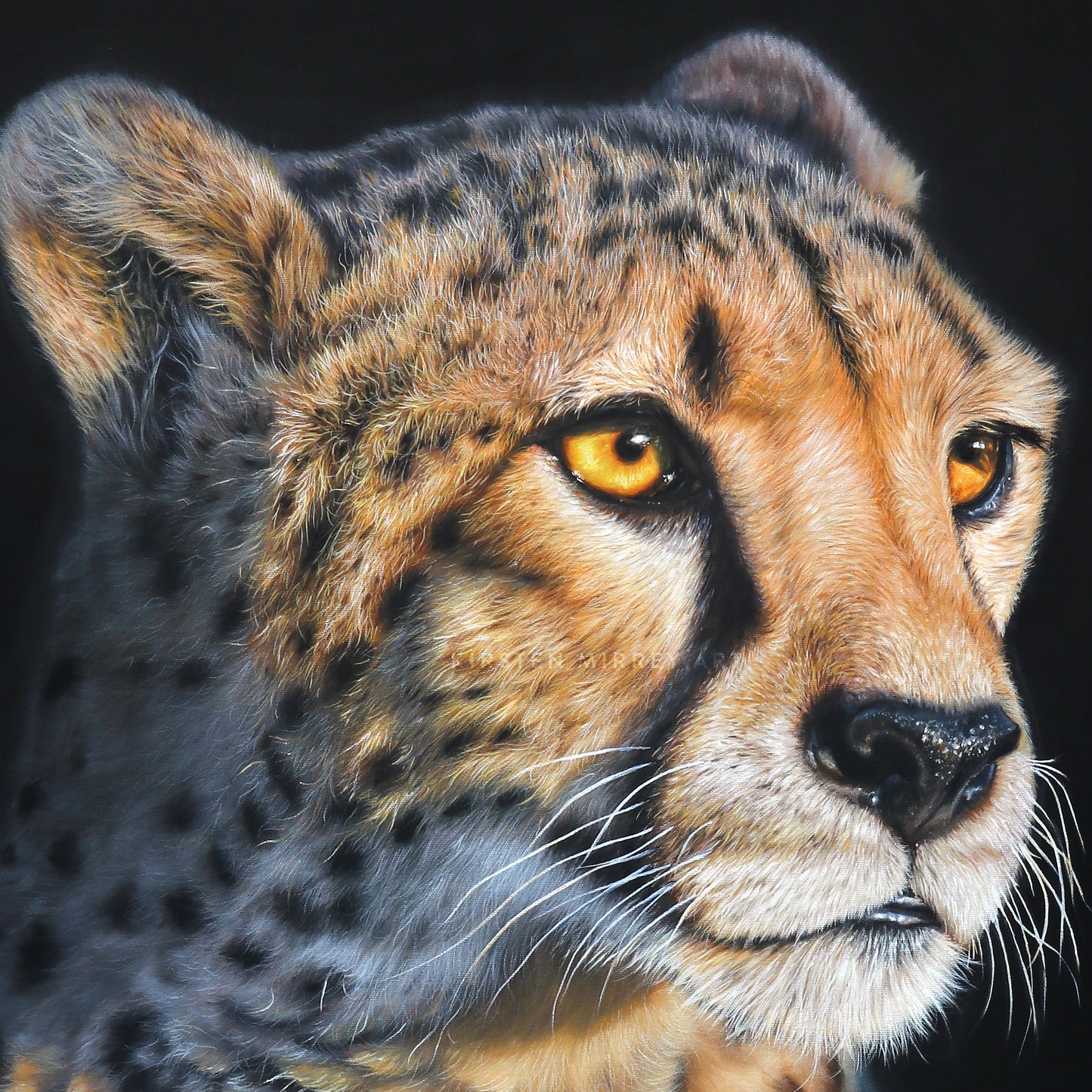 "Golden Hour" Print