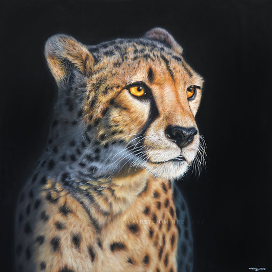 "Golden Hour" Print