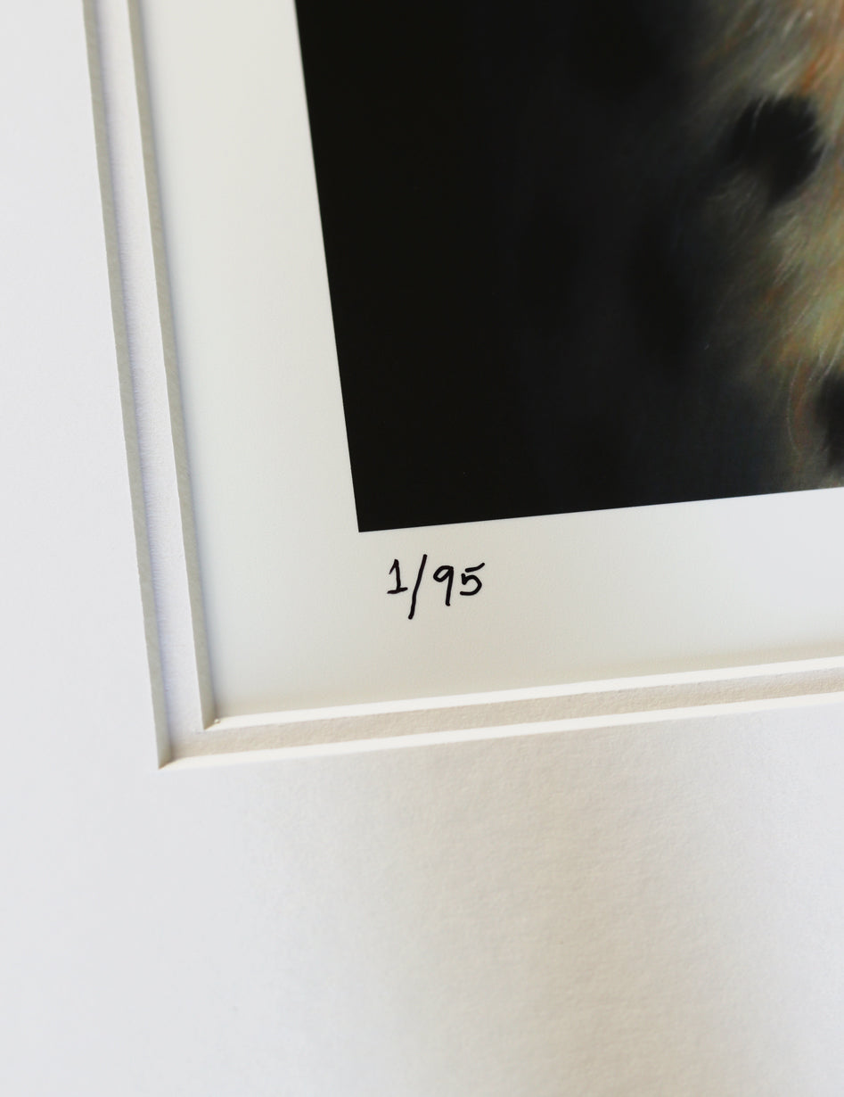 "Golden Hour" Print