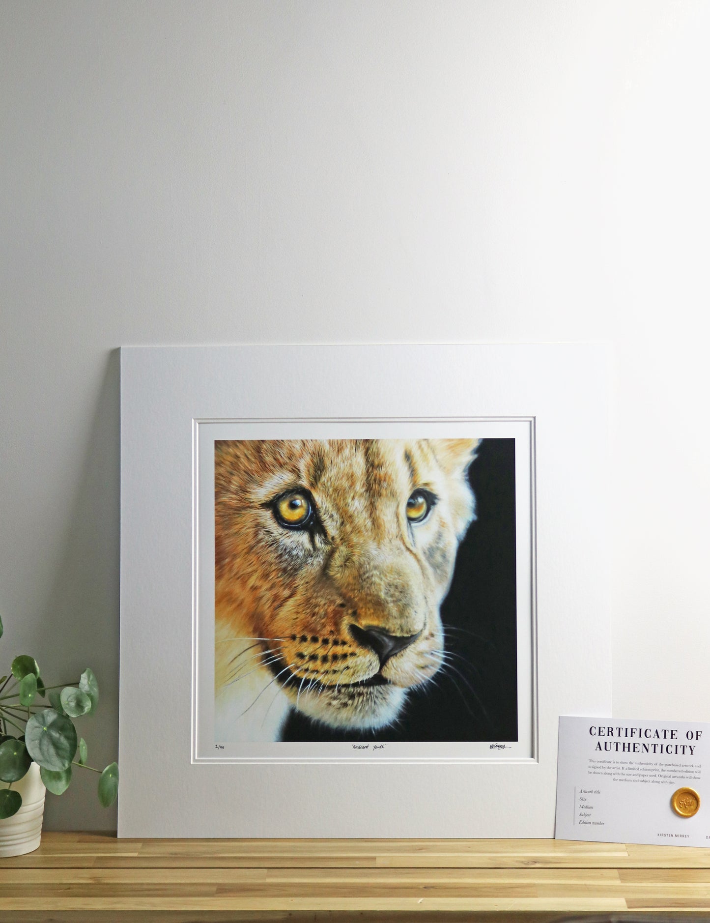 "Radiant Youth" Print