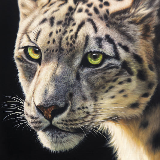 "Under the Sun" Print