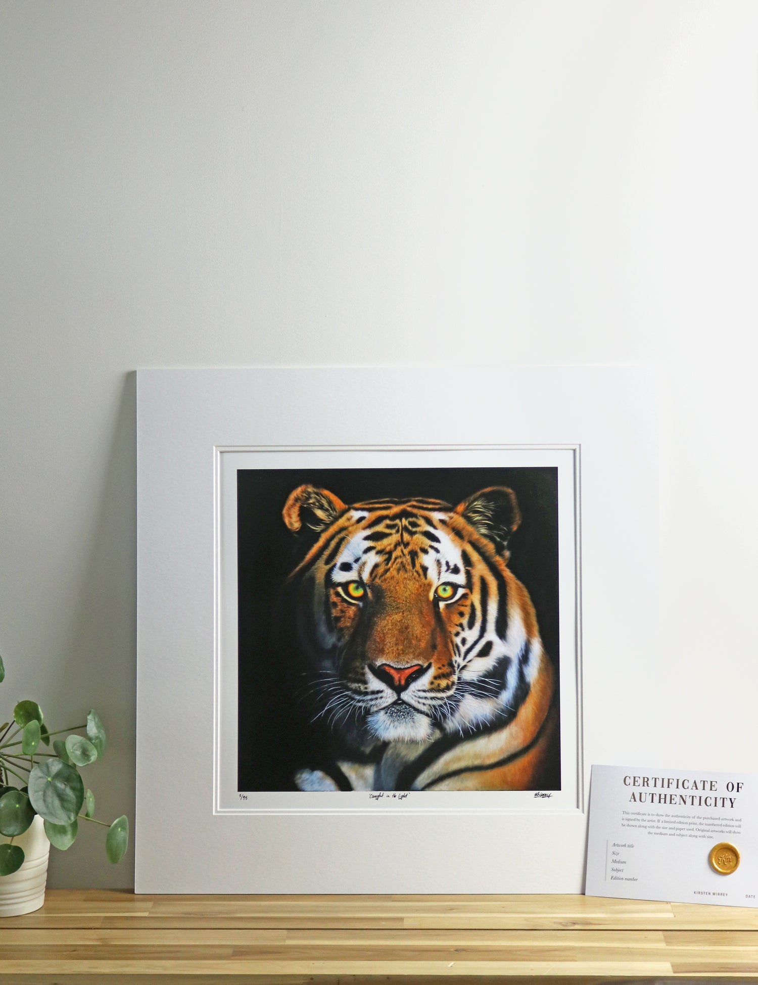 Limited Edition Prints