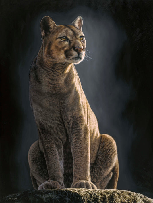 'INCA' Original Artwork