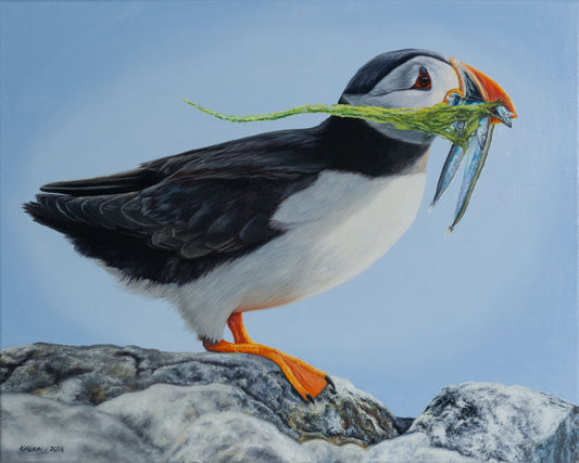 'A BALANCED DIET' Original Artwork