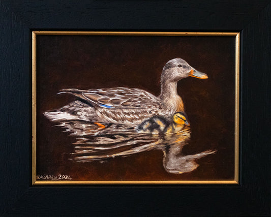 MALLARD DUCKS Original Artwork