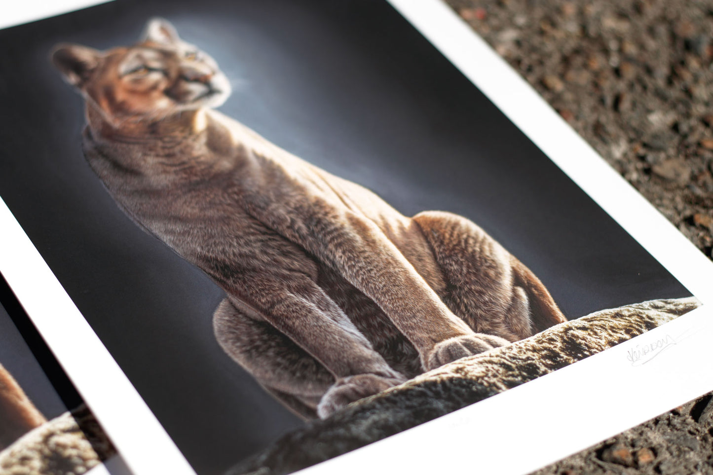 Inca Print