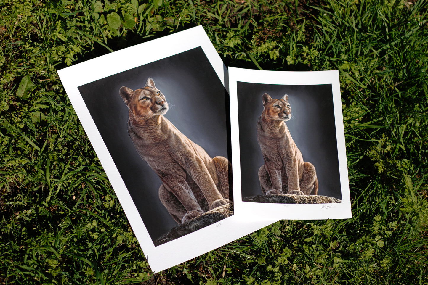 Inca Print