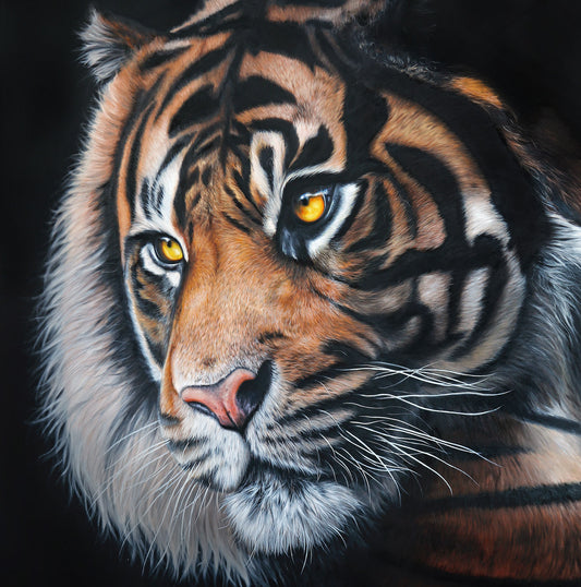 Illumination Canvas Print