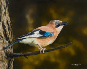 Descriptive image text