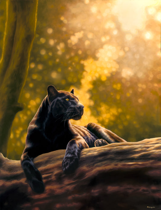 LAST LIGHT Original Artwork