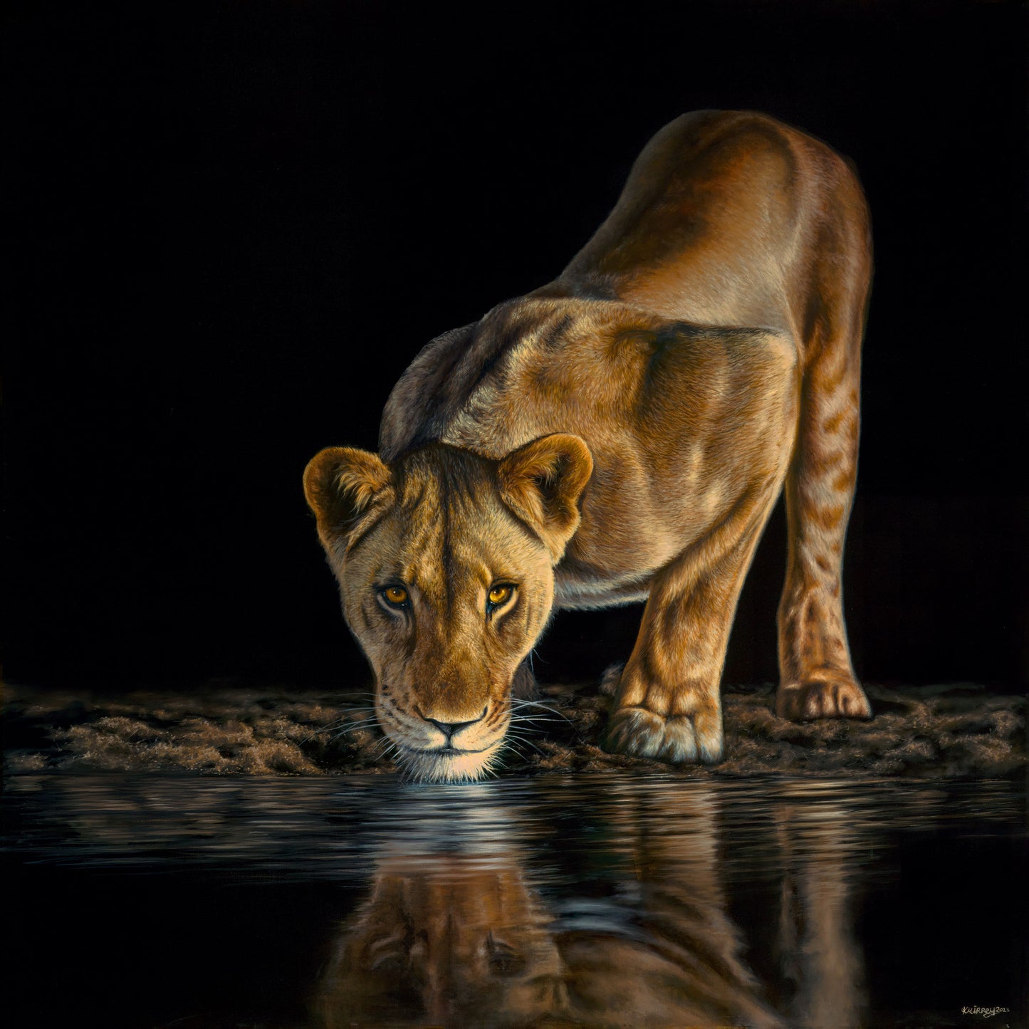 Nala Artist Proof Canvas Print