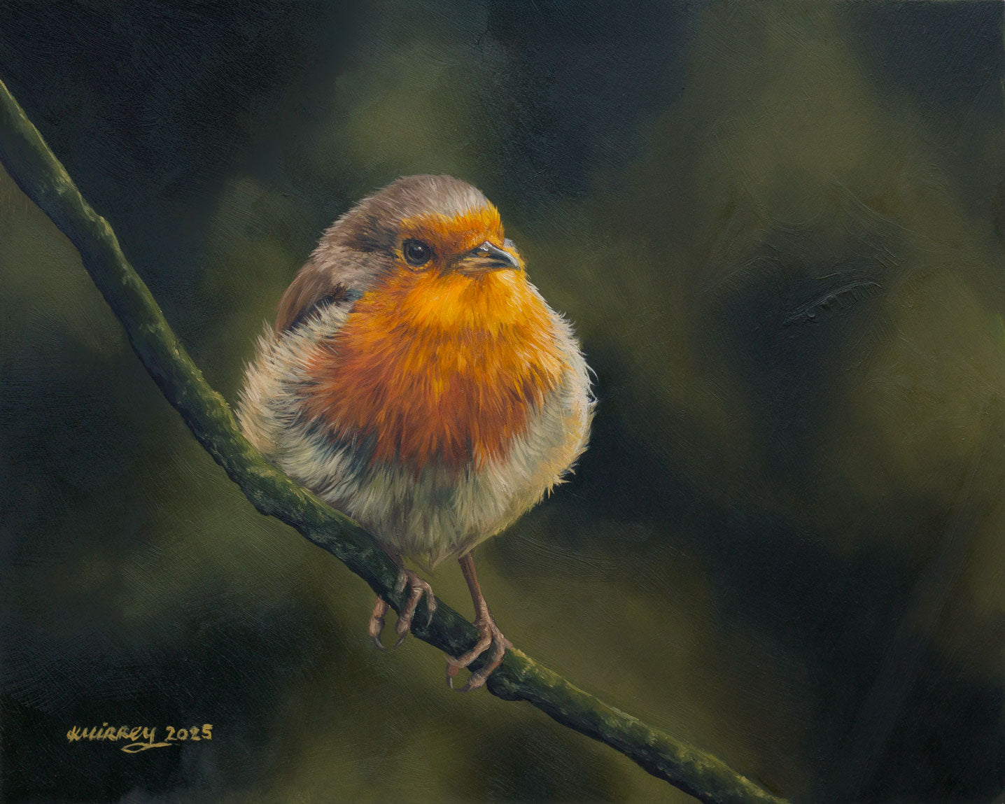'ROBIN' Original Artwork – Kirsten Mirrey Art