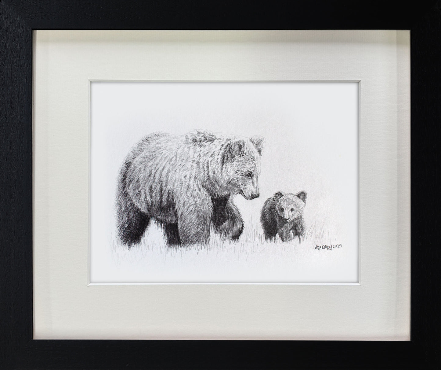 Bear and Cub Sketch