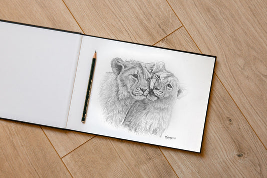 Lion Cubs Sketch