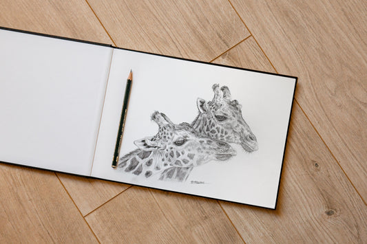 Giraffe Sketch