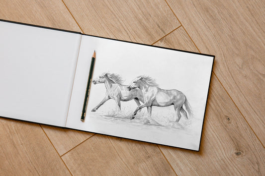 Horses Sketch