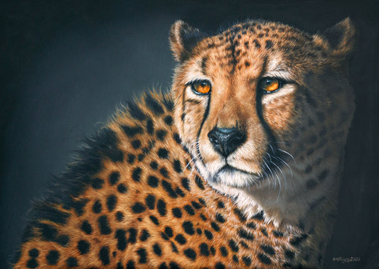 'VELOX' Original Artwork