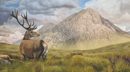 "BUACHAILLE ETIVE MÓR" Original Artwork