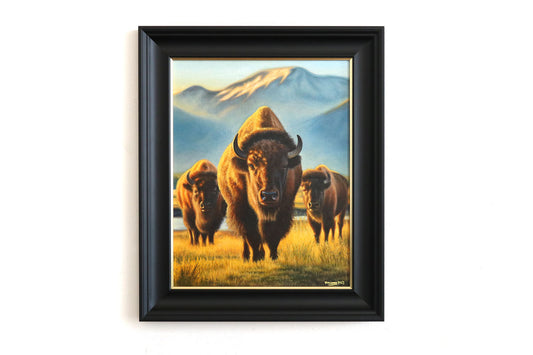 TATANKA Original Artwork