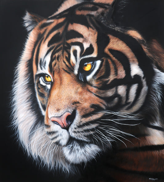 ILLUMINATION Original Artwork