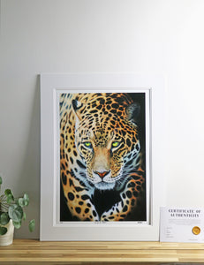 "Out of the Shadows" Print
