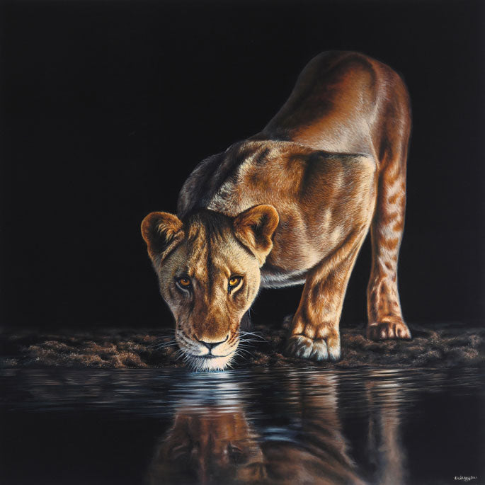 Lioness Artwork