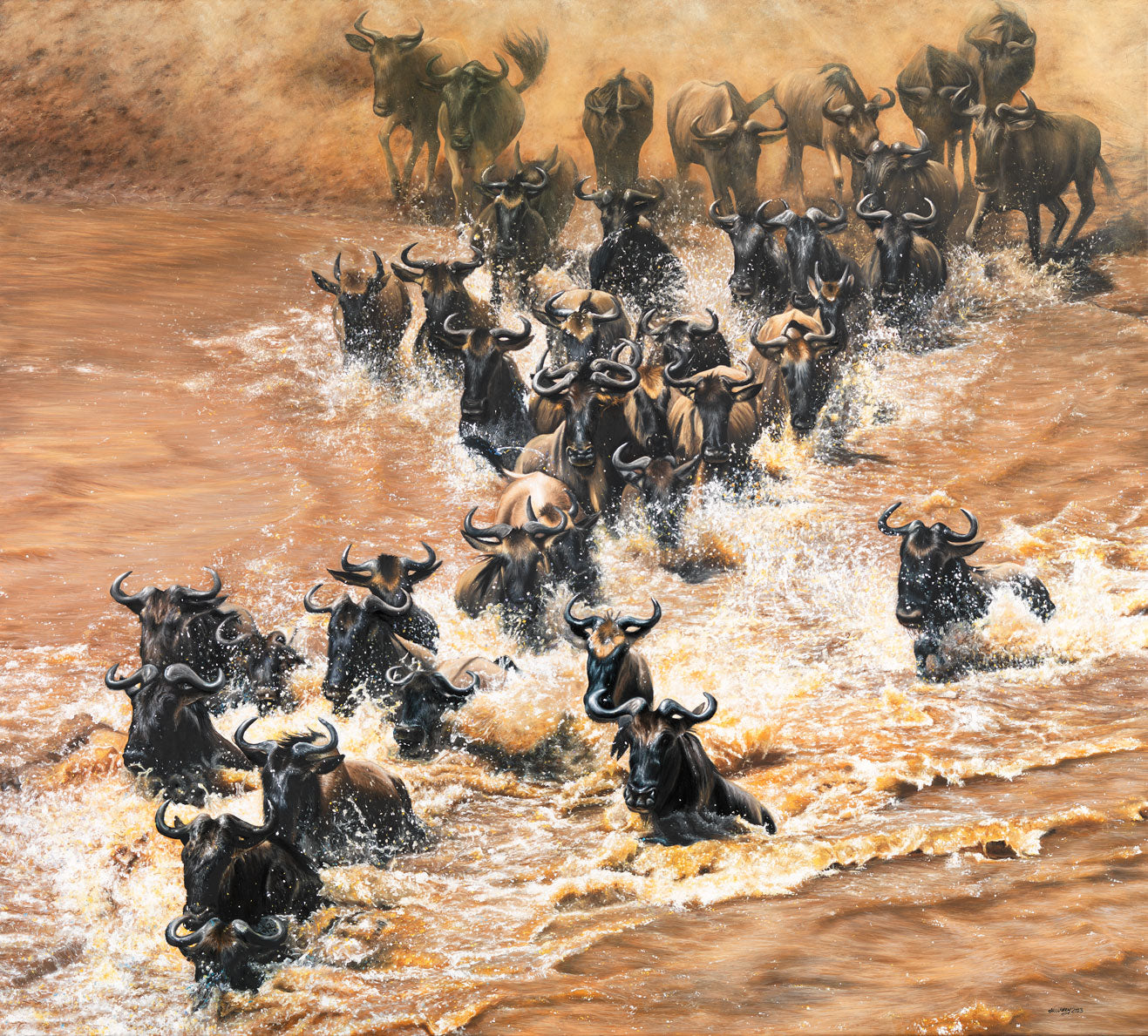 Safari Experience